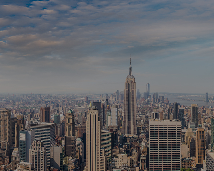 New York buildings decoration image